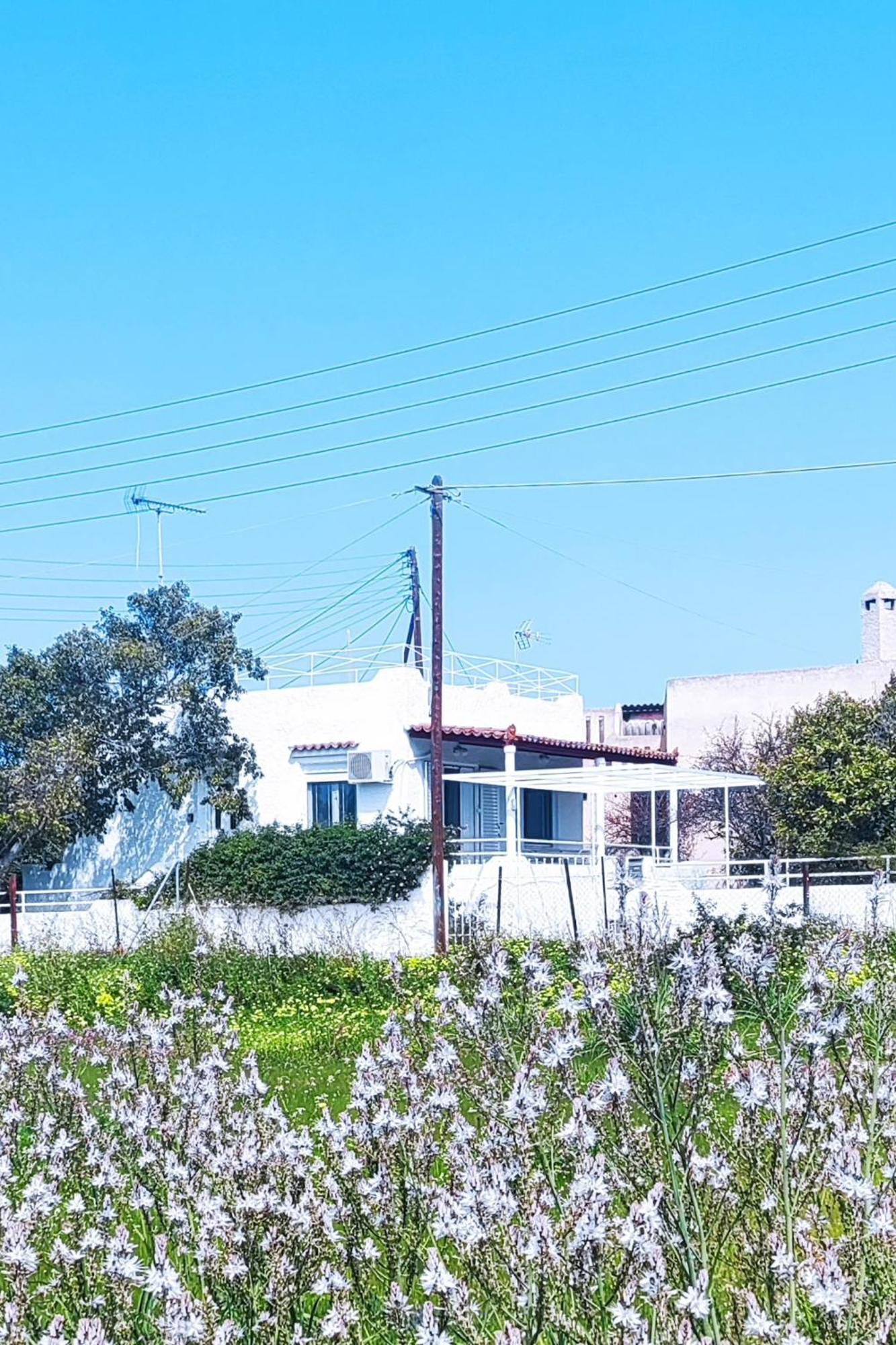 Leodi Place Κυψέλη Εξωτερικό φωτογραφία
